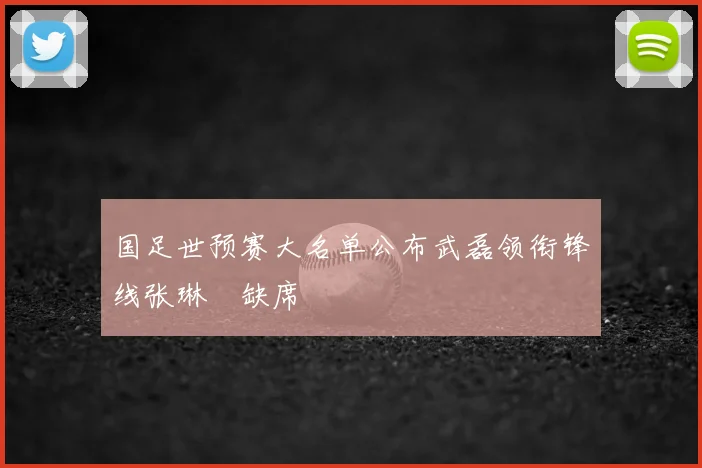 国足世预赛大名单公布武磊领衔锋线张琳芃缺席