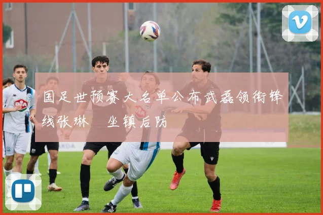 国足世预赛大名单公布武磊领衔锋线张琳芃坐镇后防