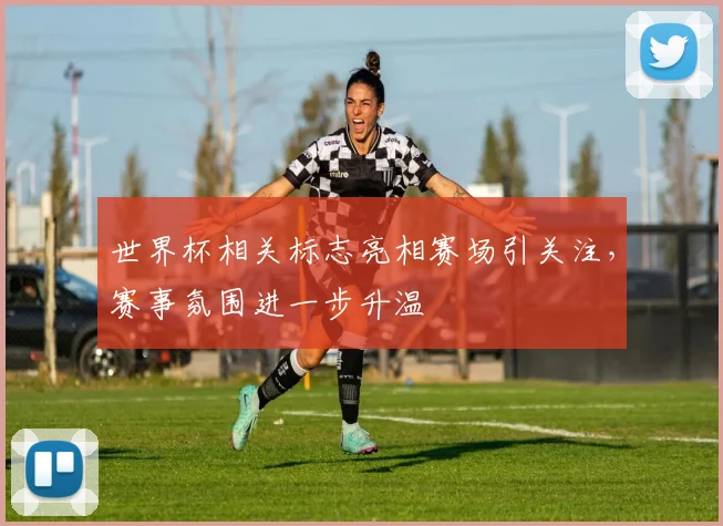 世界杯相关标志亮相赛场引关注,赛事氛围进一步升温