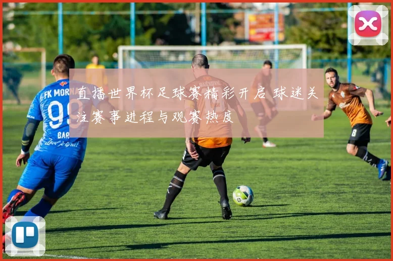 直播世界杯足球赛精彩开启 球迷关注赛事进程与观赛热度