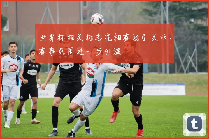 世界杯相关标志亮相赛场引关注，赛事氛围进一步升温